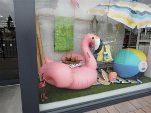Flamingo in Ballantyne's window